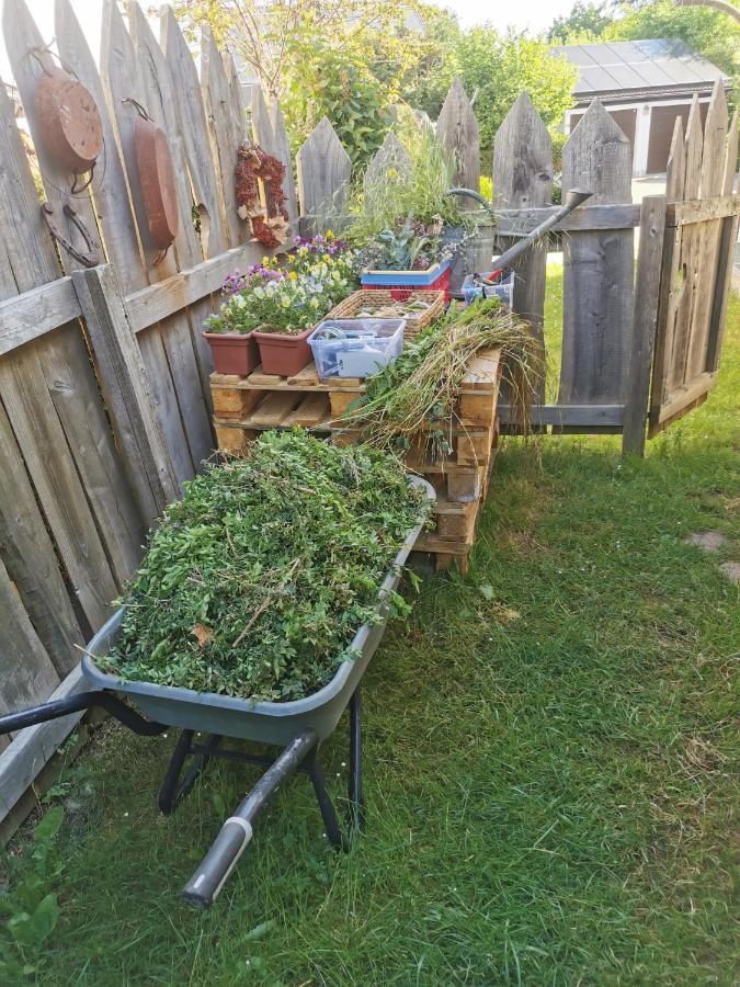 Gartenwohnung Paulsdorf Dippoldiswalde Buitenkant foto
